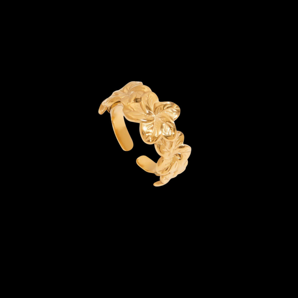 Numer Ring