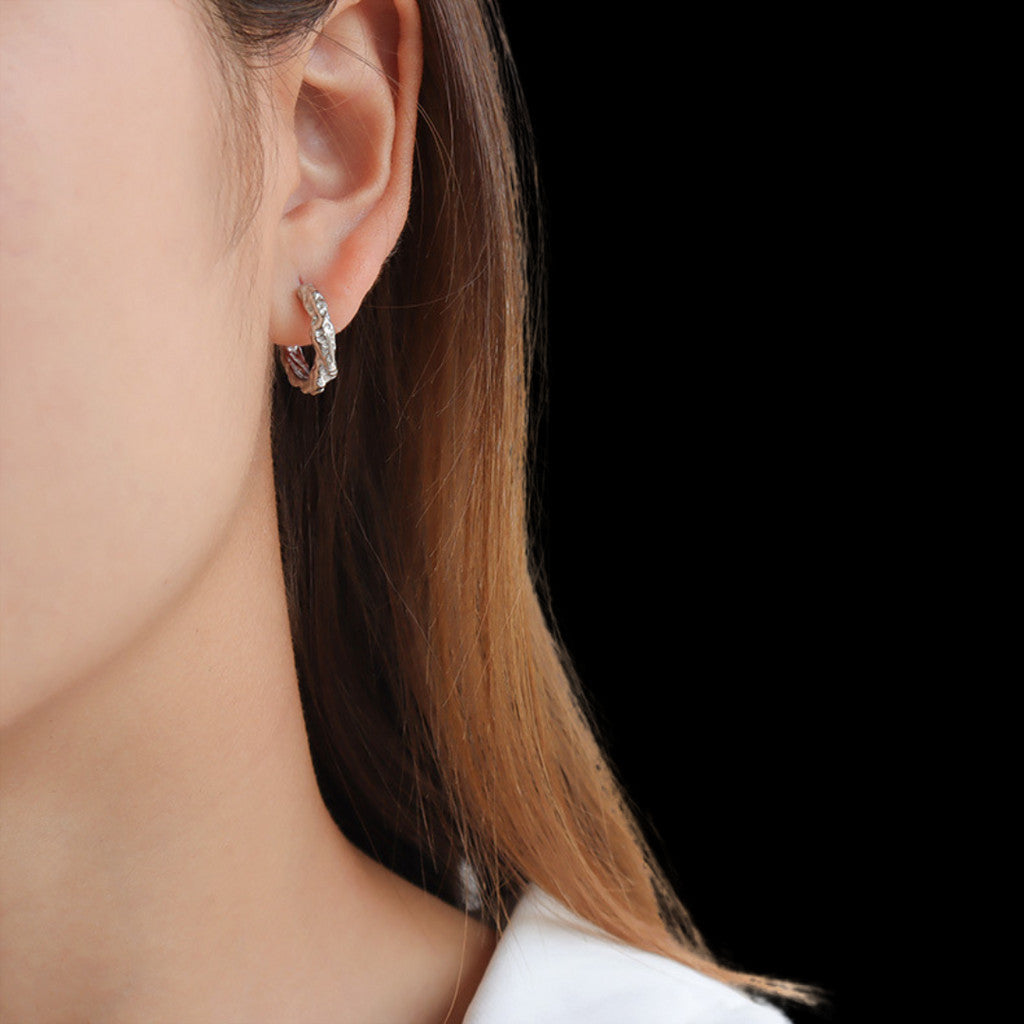 Heizer Earrings