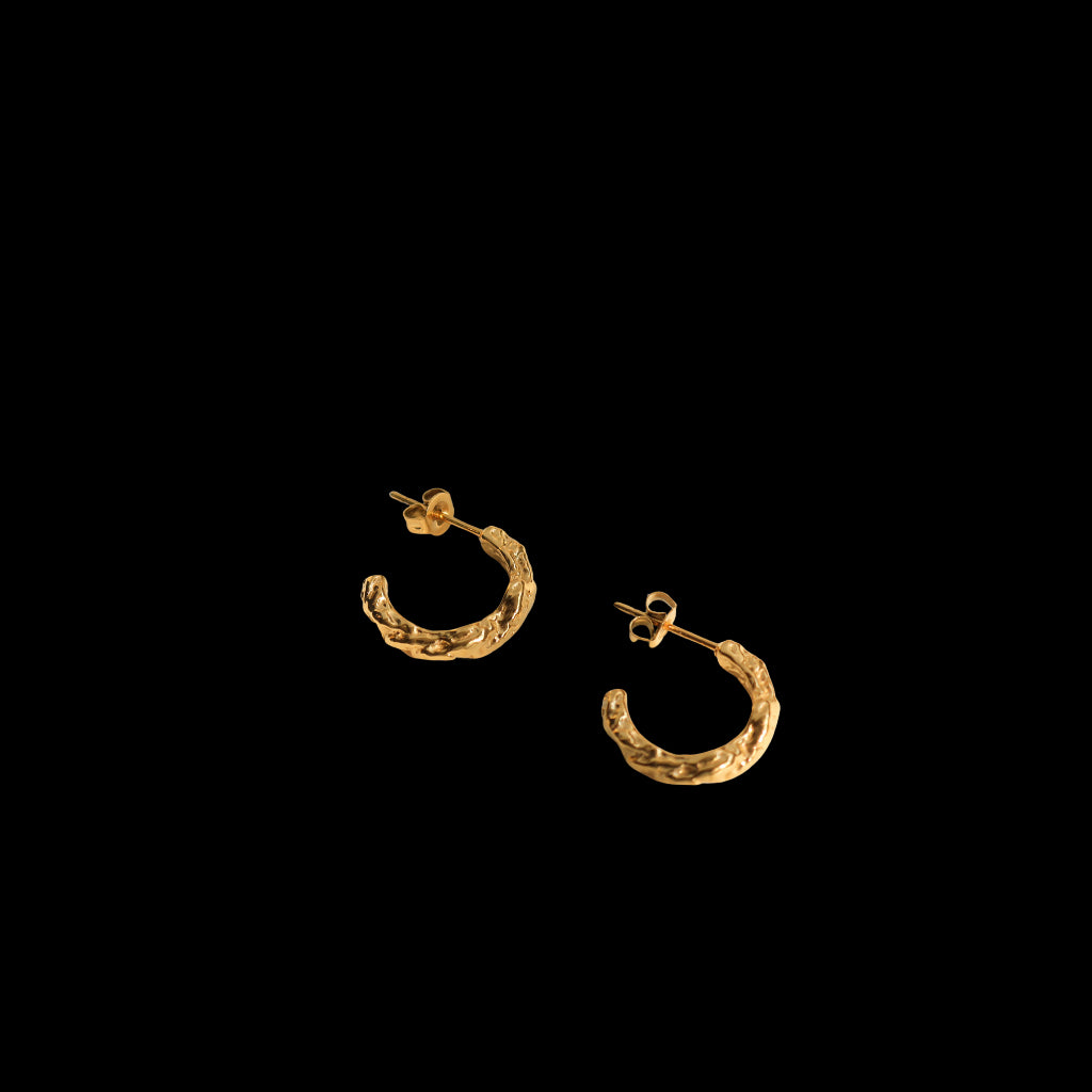 Heizer Earrings