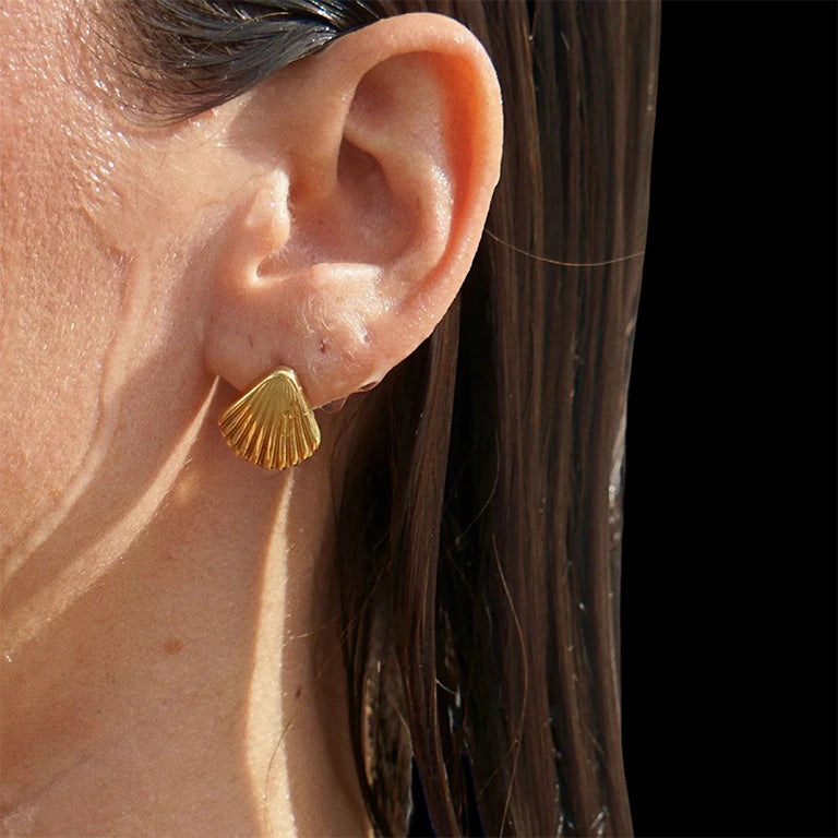 Beam Earrings
