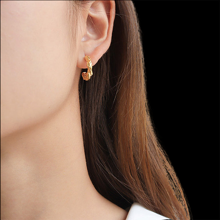 Heizer Earrings