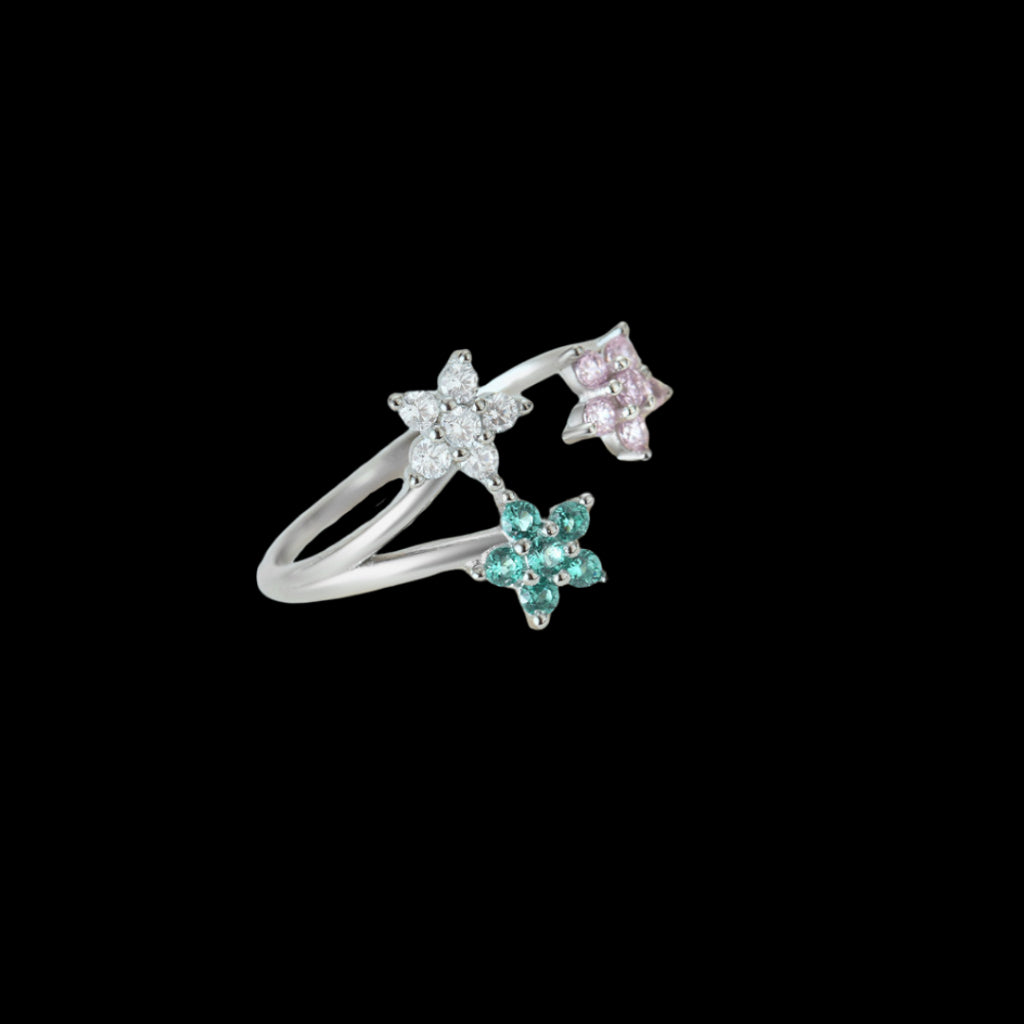 Aixa Ring