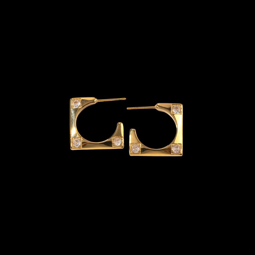 Le Earrings