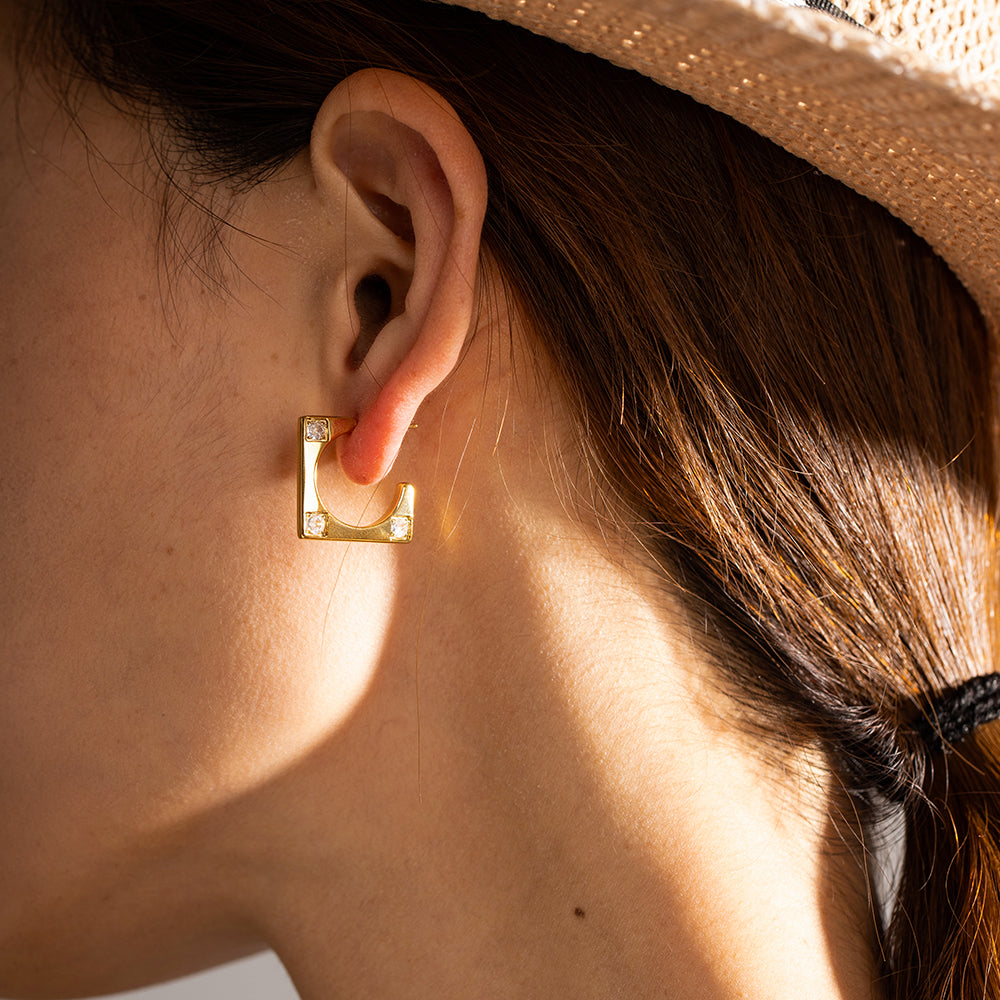 Le Earrings
