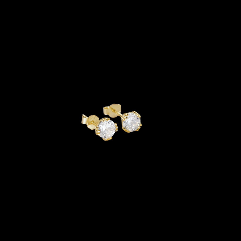 Holden Earrings