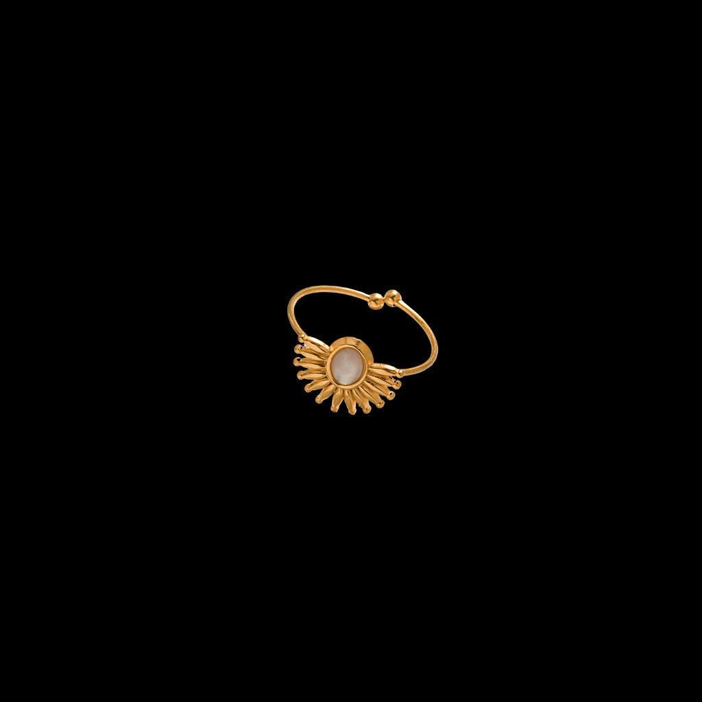 Pau Ring