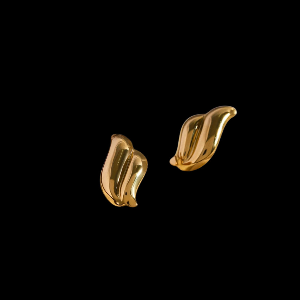 Sanpo Earrings
