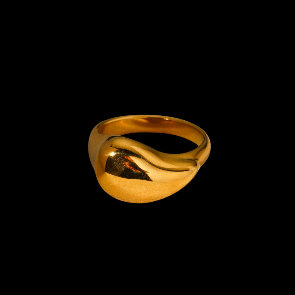 Holly Ring