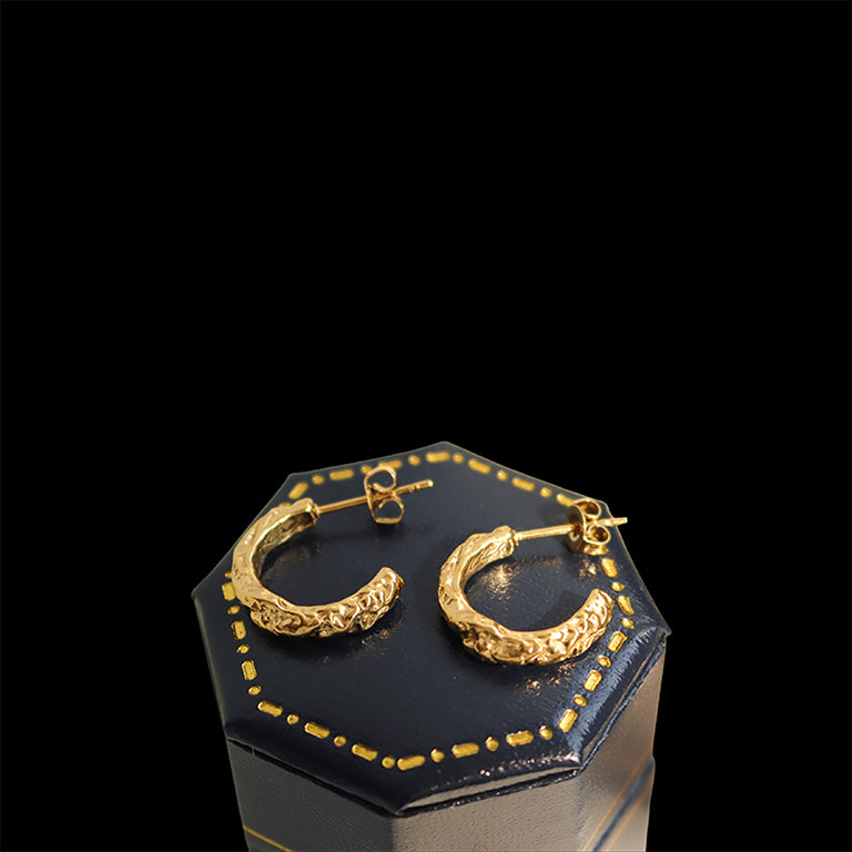 Heizer Earrings