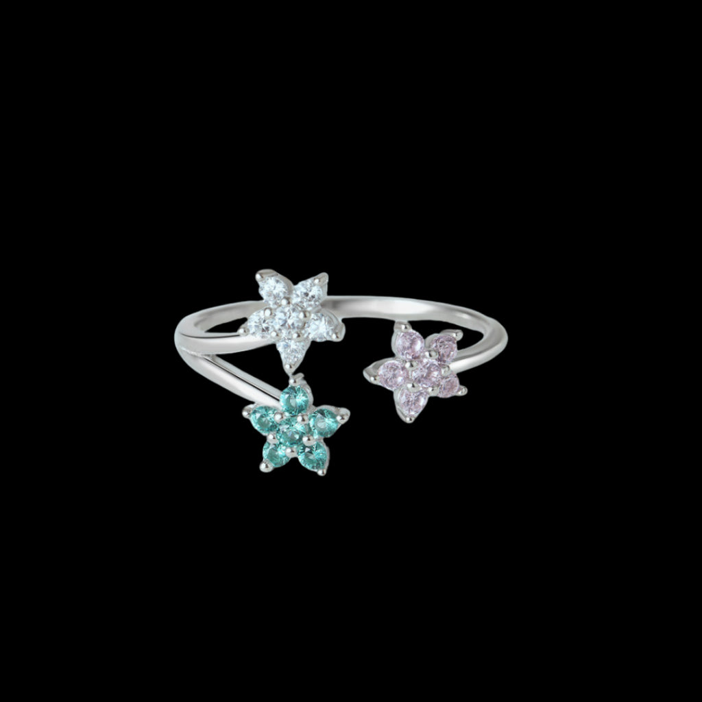 Aixa Ring