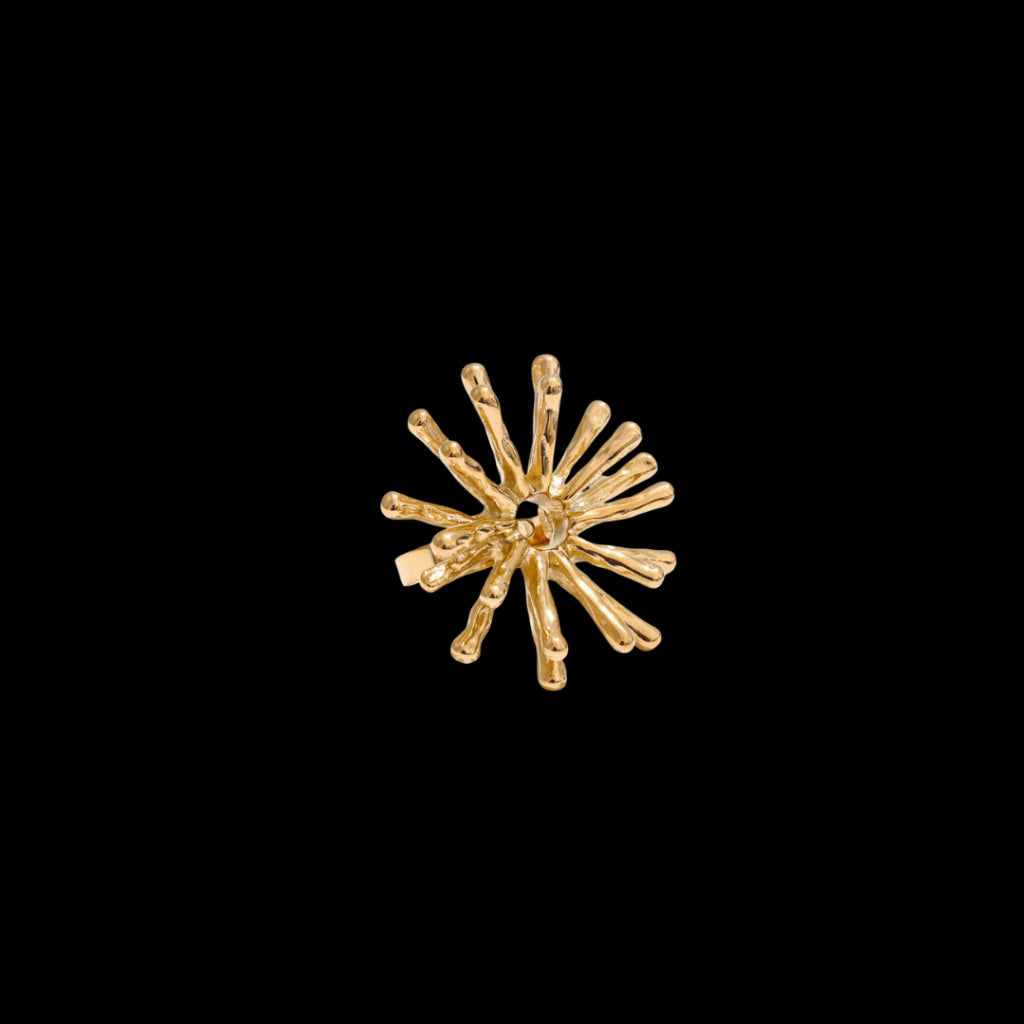 Blast Ring