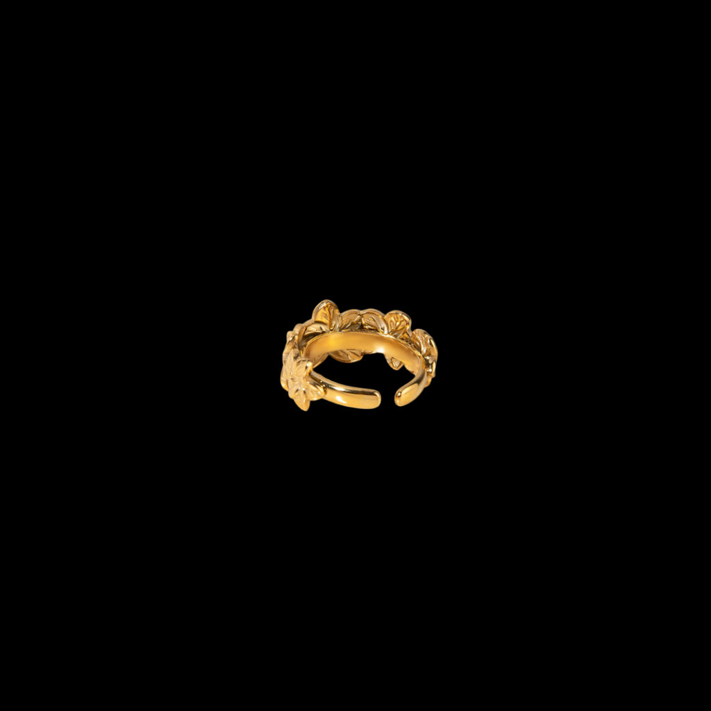 Numer Ring