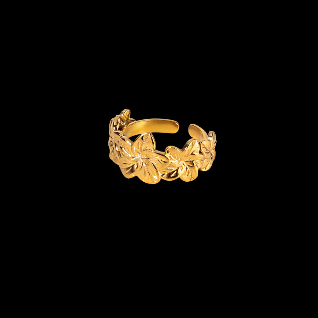 Numer Ring