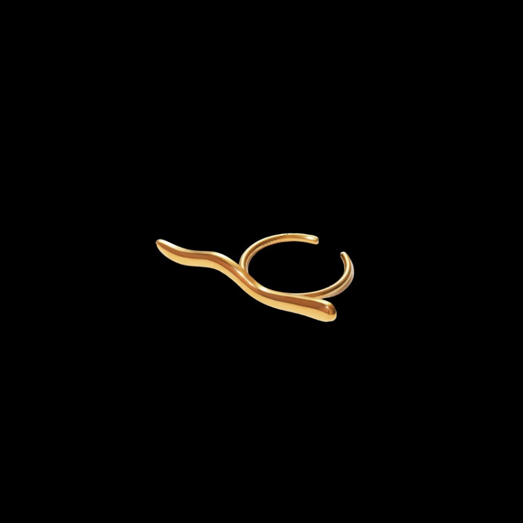 Ciclo Ring