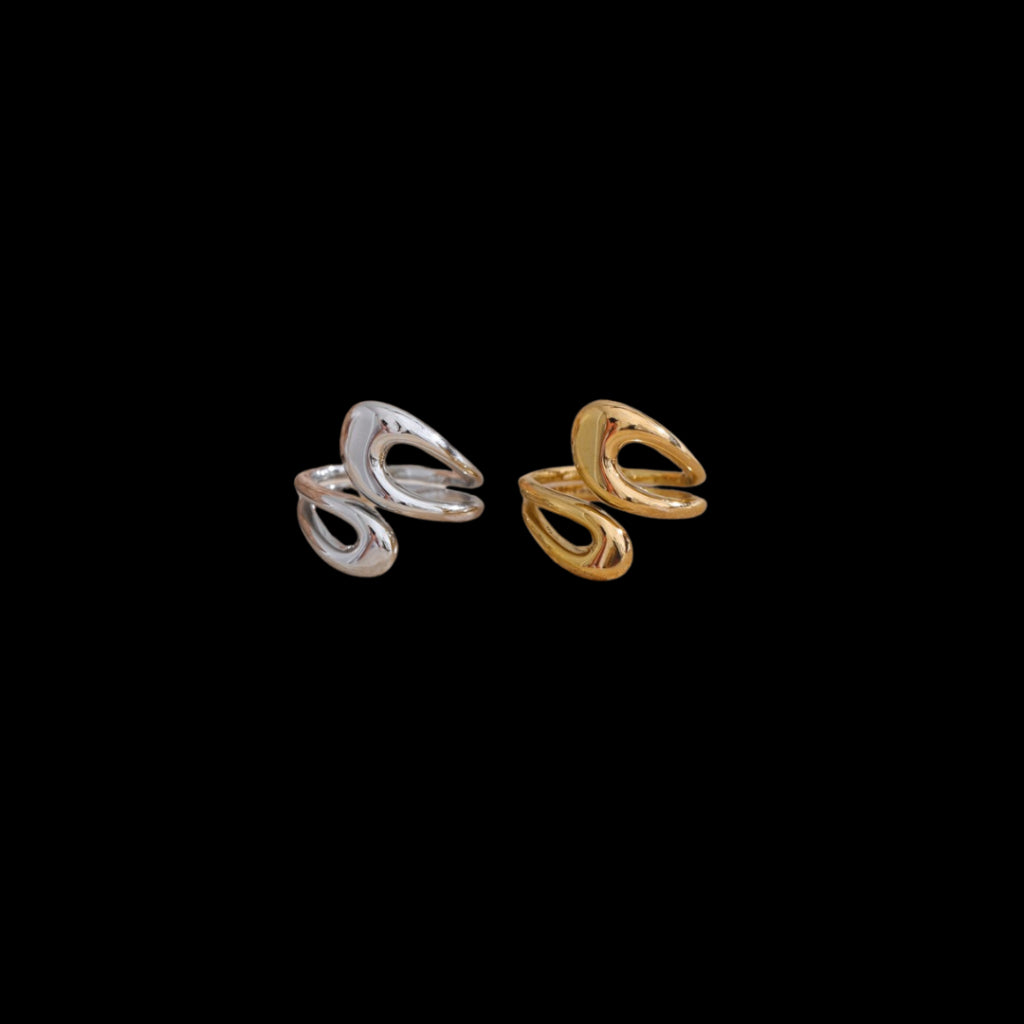 Polar Ring