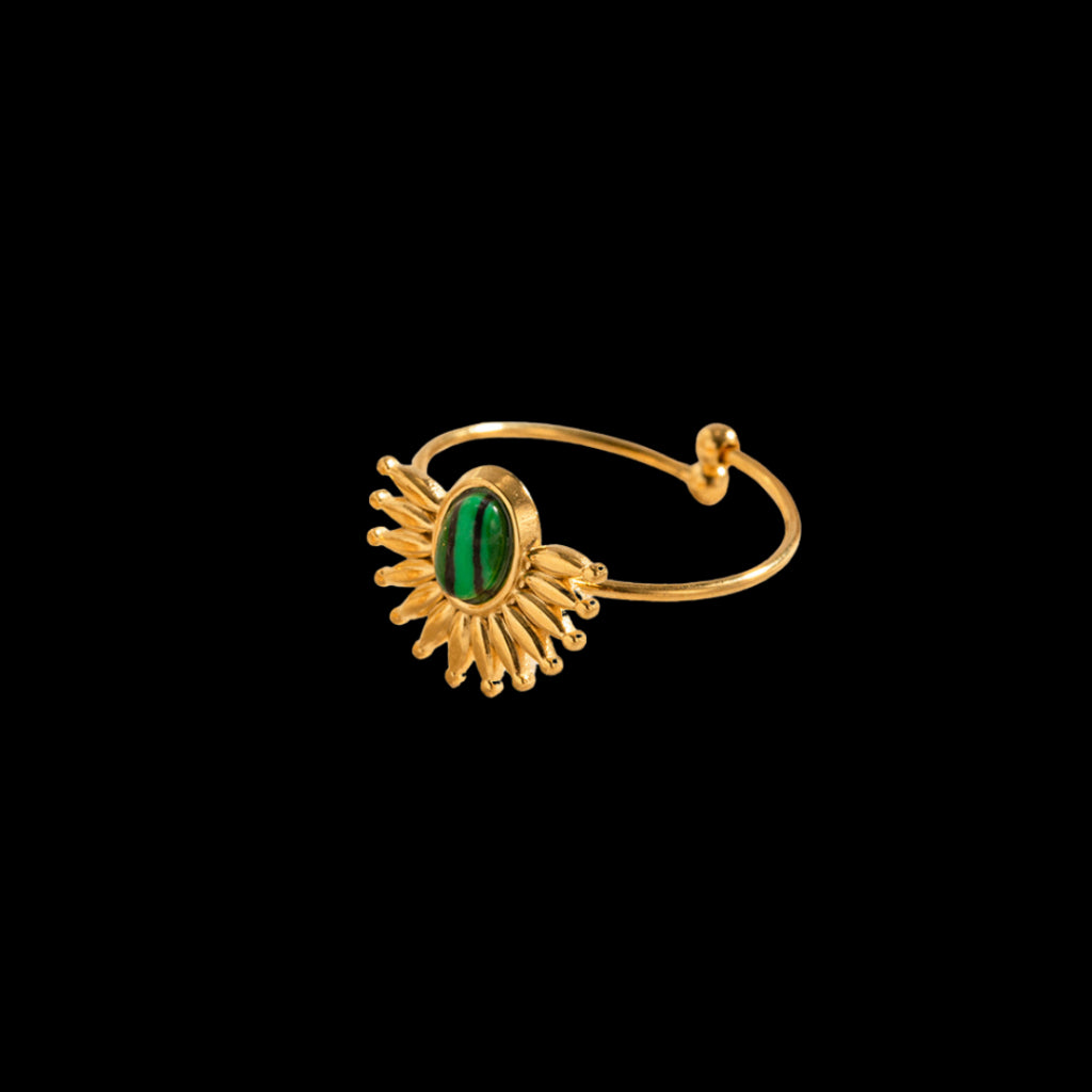 Pau Ring