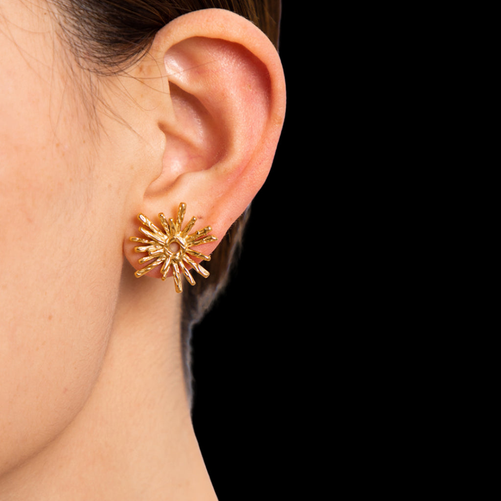 Blast Earrings