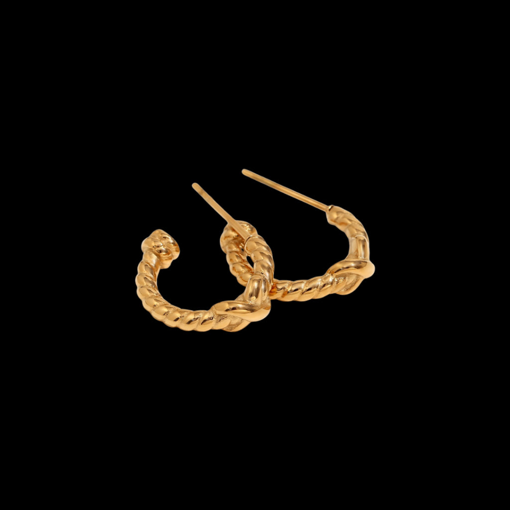 Jain Earrings