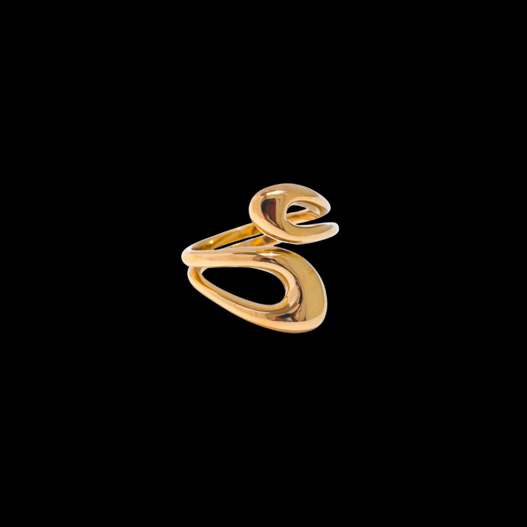 Polar Ring