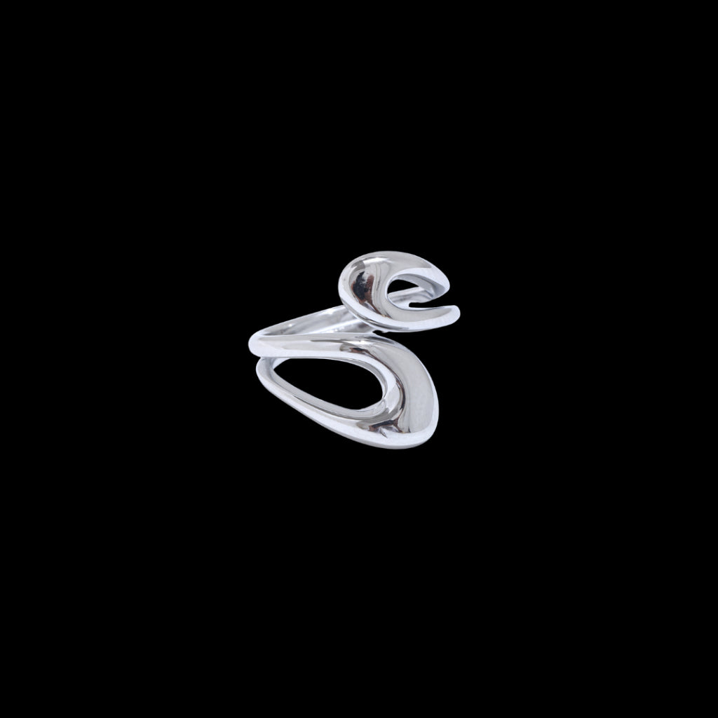 Polar Ring