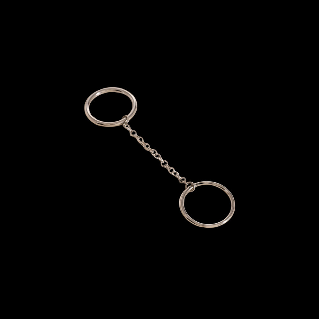 Link Ring