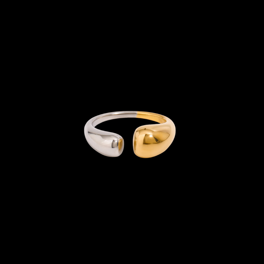 Sasaki Ring