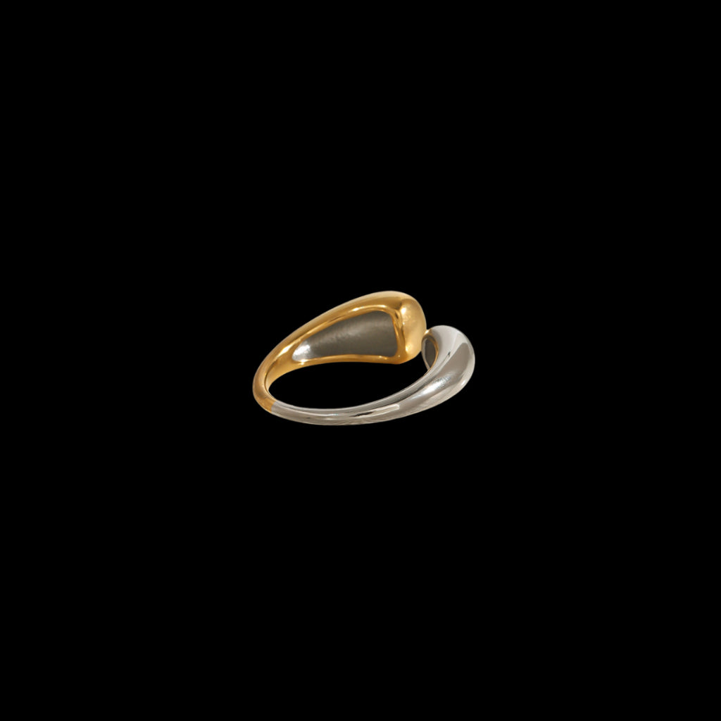 Sasaki Ring