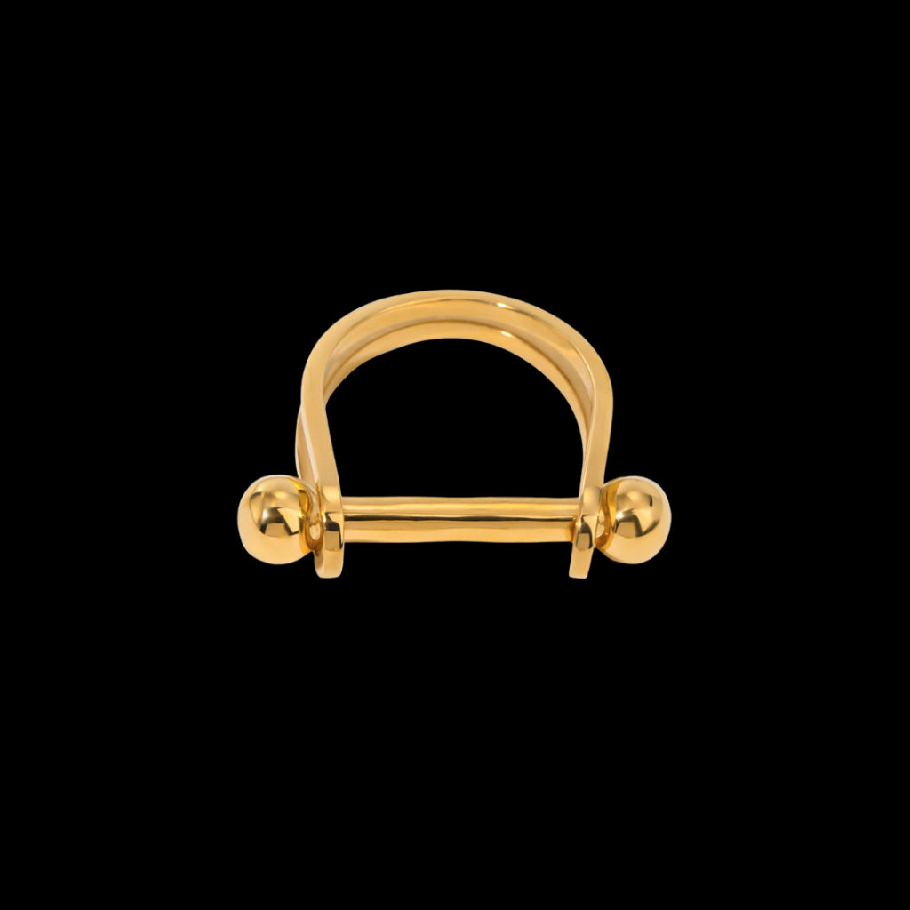 Traces Ring