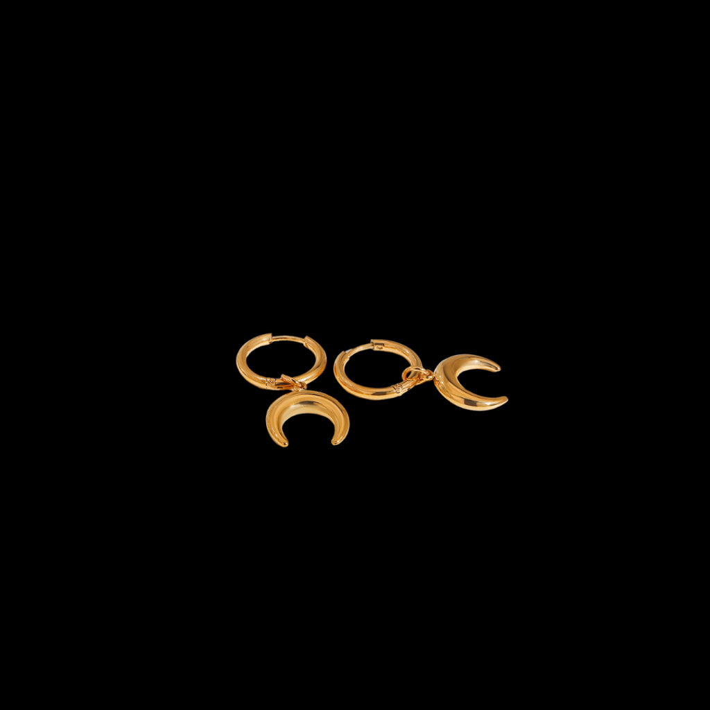 Crescent Earrings