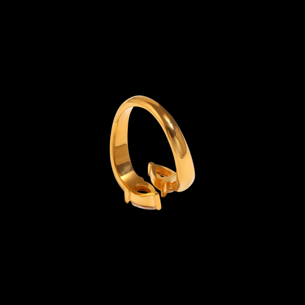 Torrent Ring