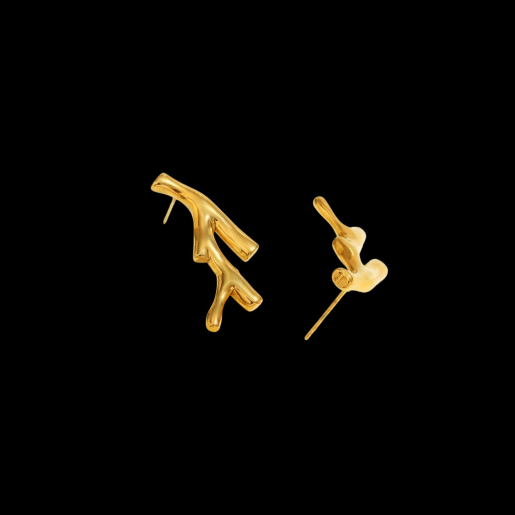 Takkie Earrings