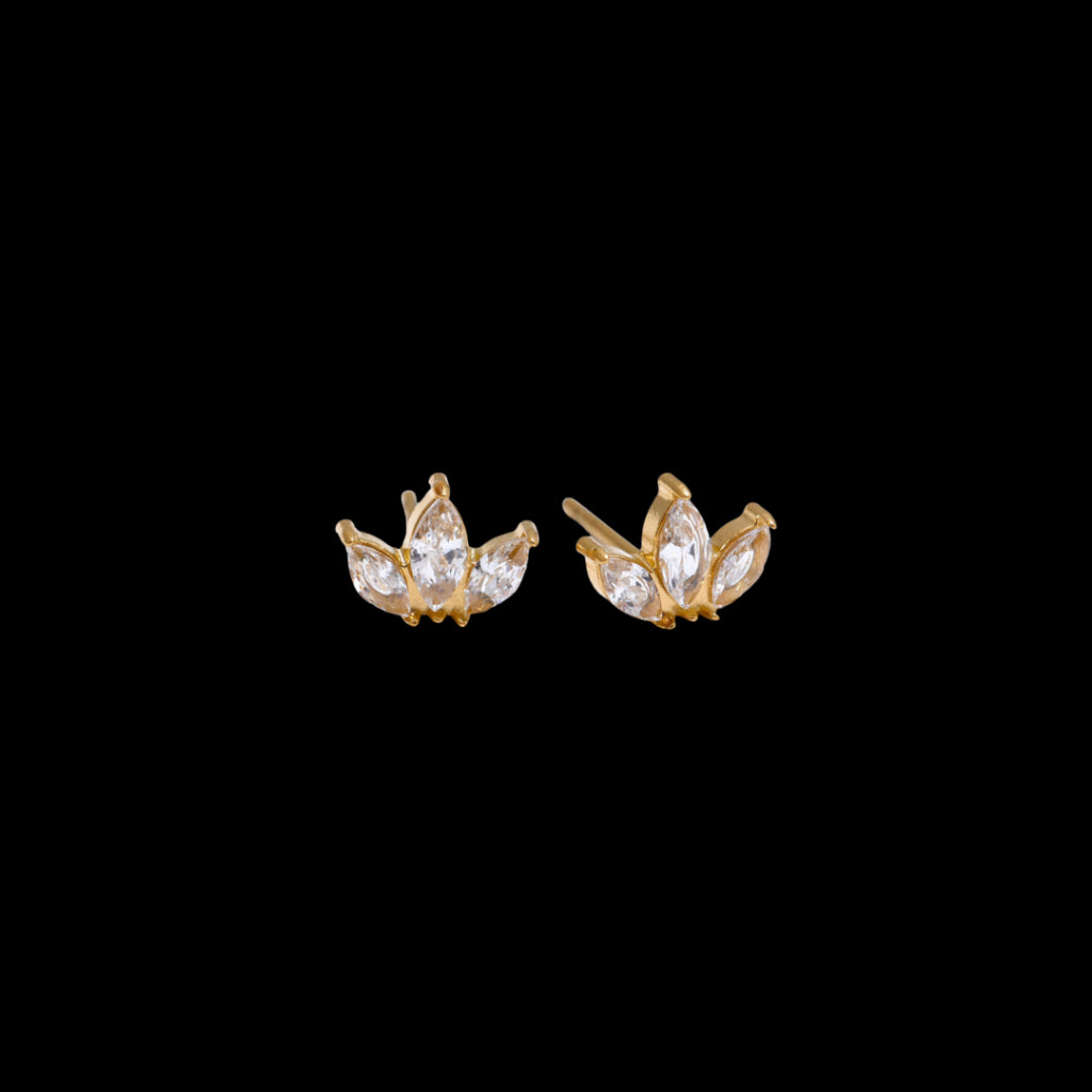 Hexa Earrings