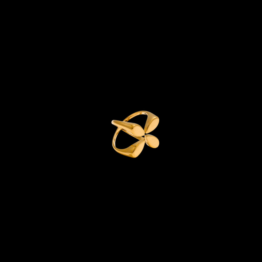 Aixa Ring