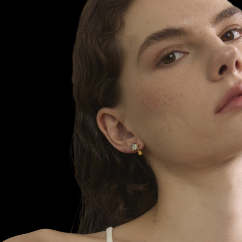 Noid Earrings