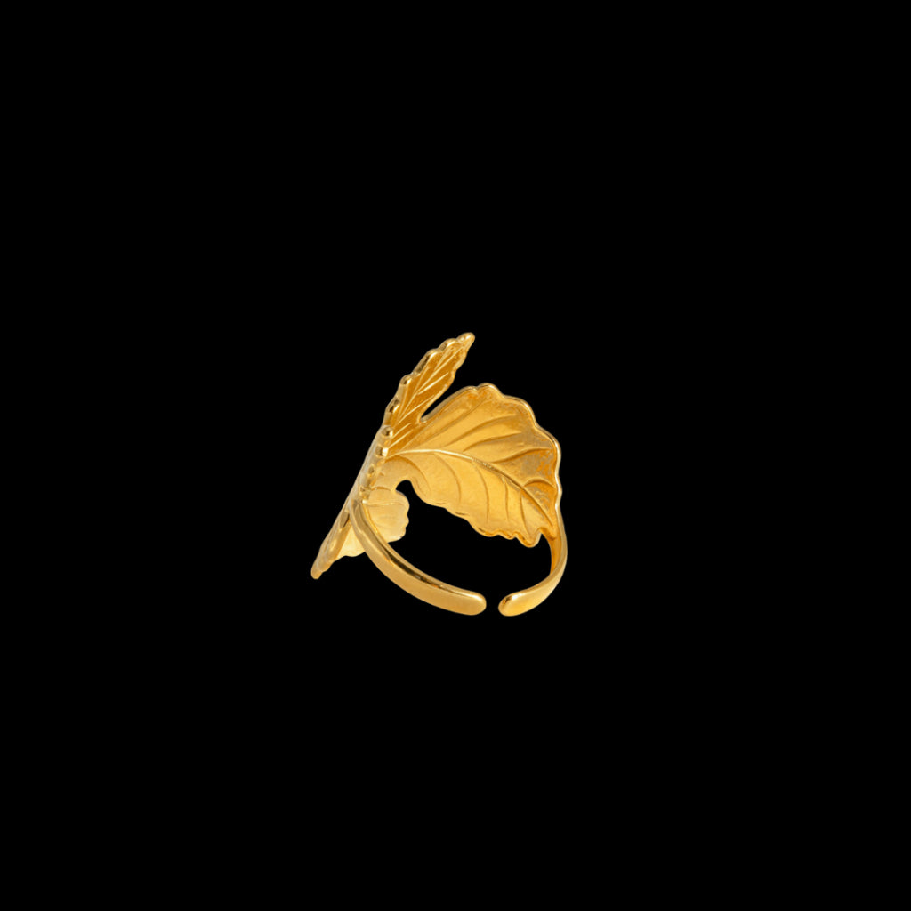 Dani Ring
