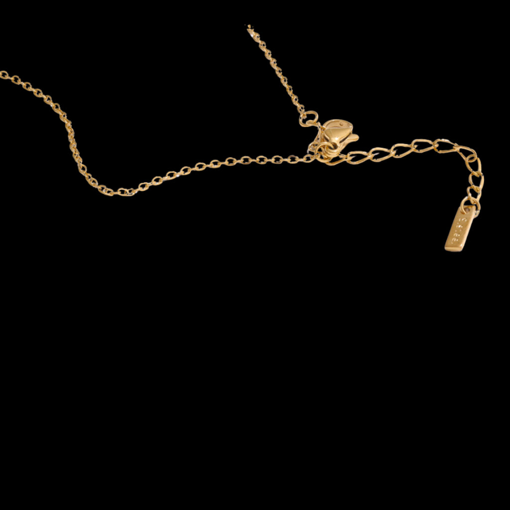 Dust Necklace