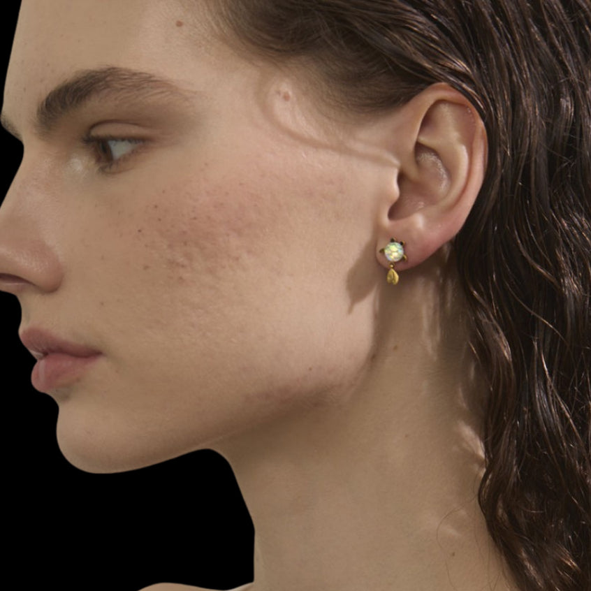 Noid Earrings