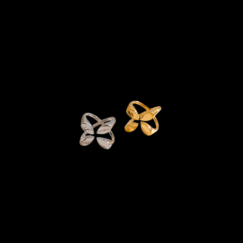Aixa Ring