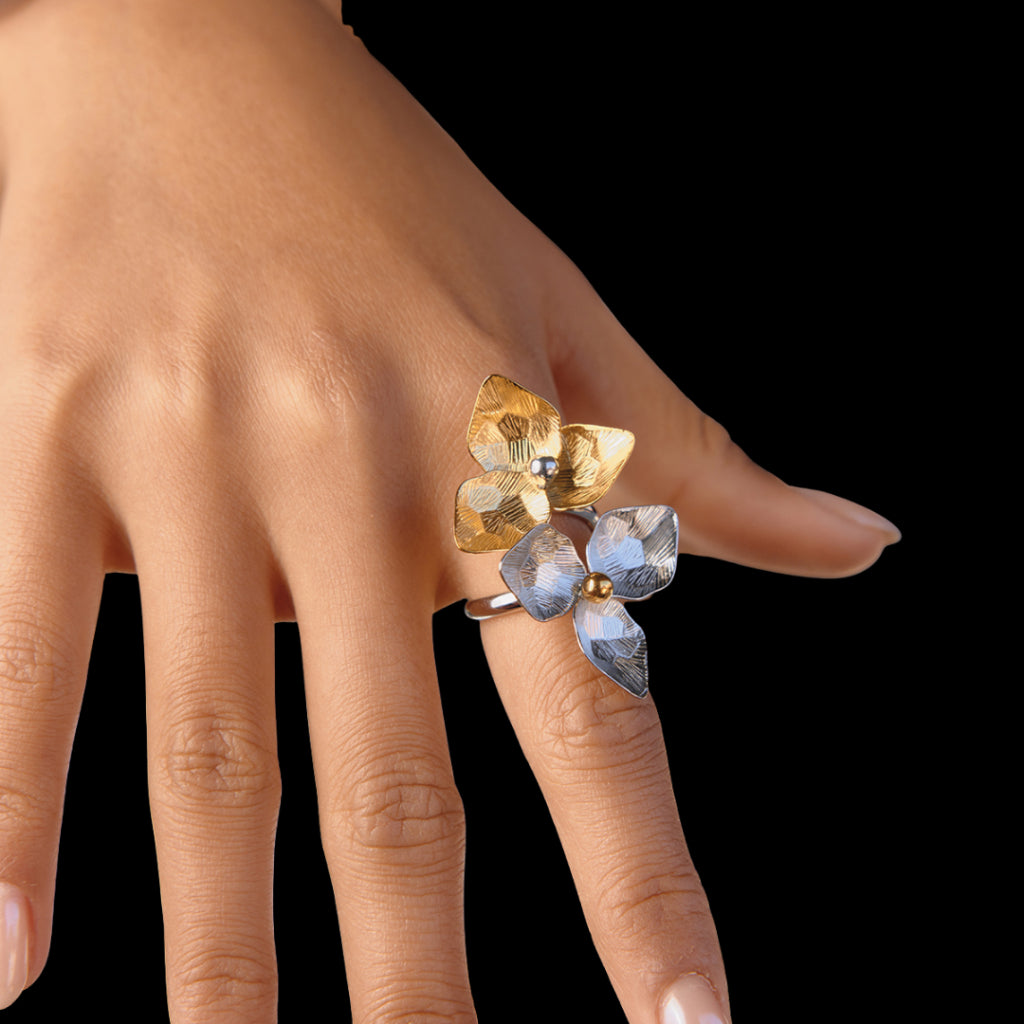 Justus Ring